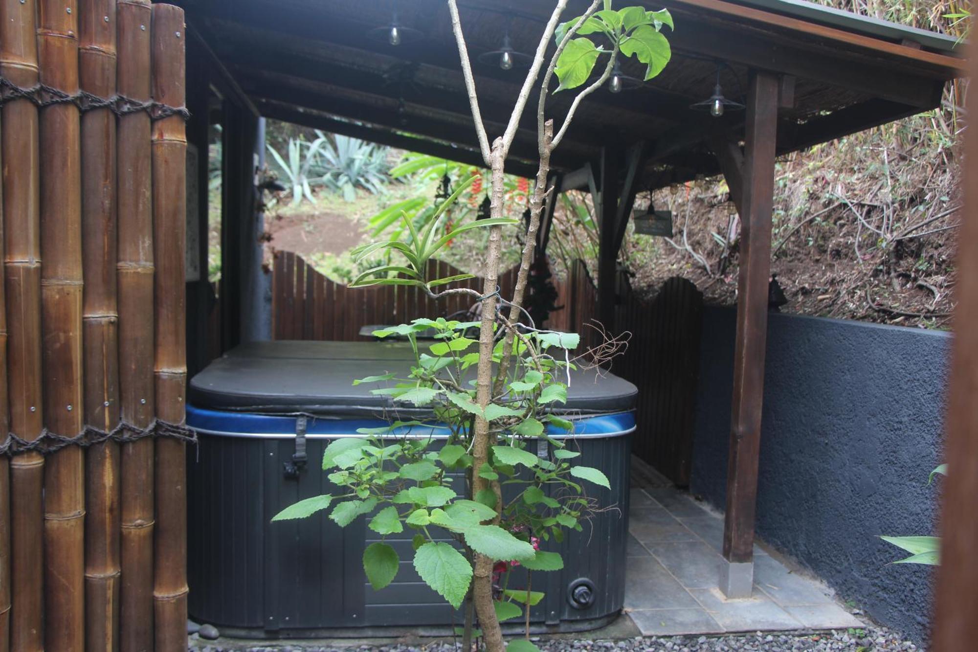 La Liane De Jade 974-Lodge Le Palissandre - Jacuzzi Privatif - Piscine Chauffee Le Bois de Nefles  Ngoại thất bức ảnh