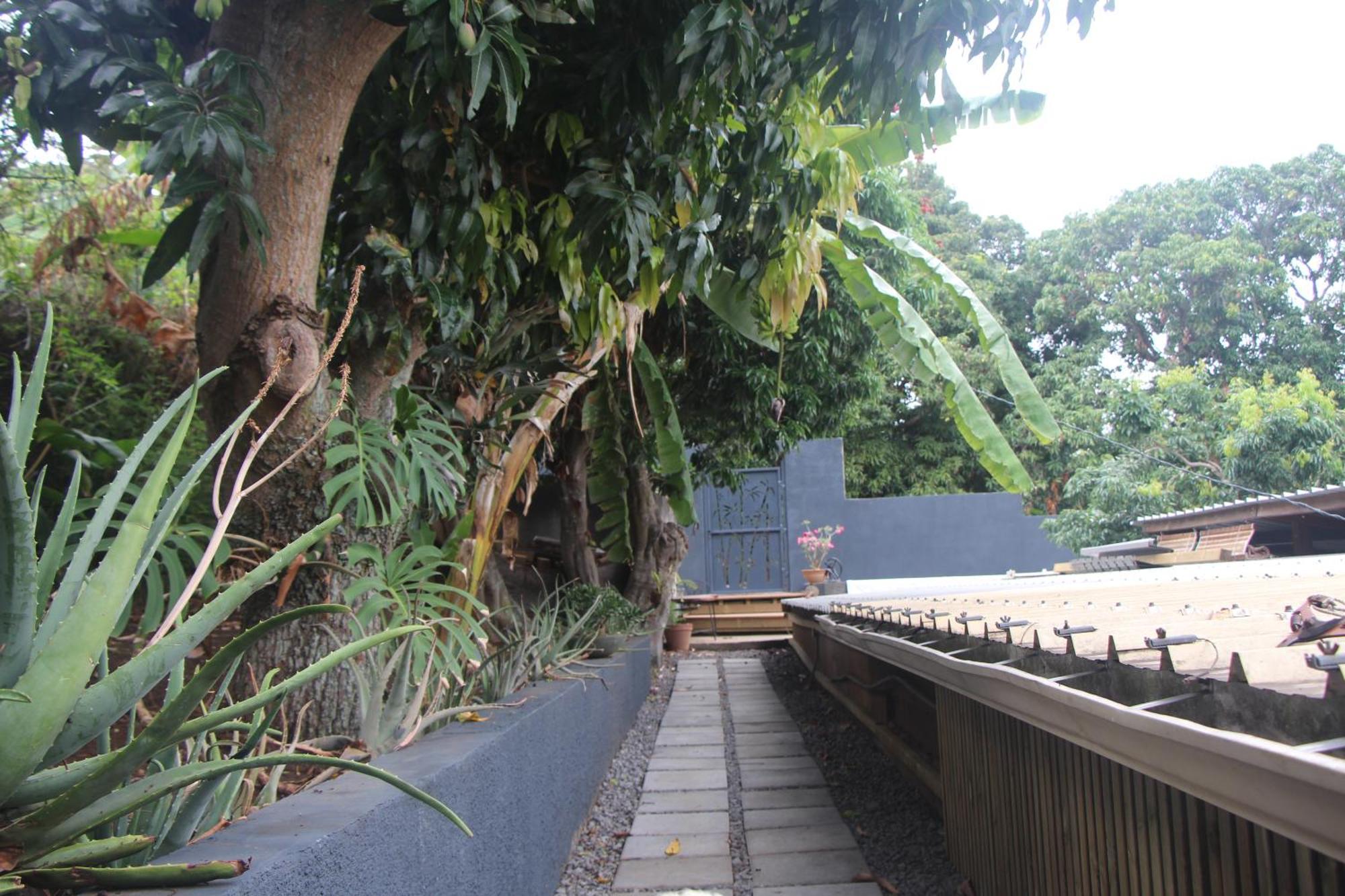 La Liane De Jade 974-Lodge Le Palissandre - Jacuzzi Privatif - Piscine Chauffee Le Bois de Nefles  Ngoại thất bức ảnh