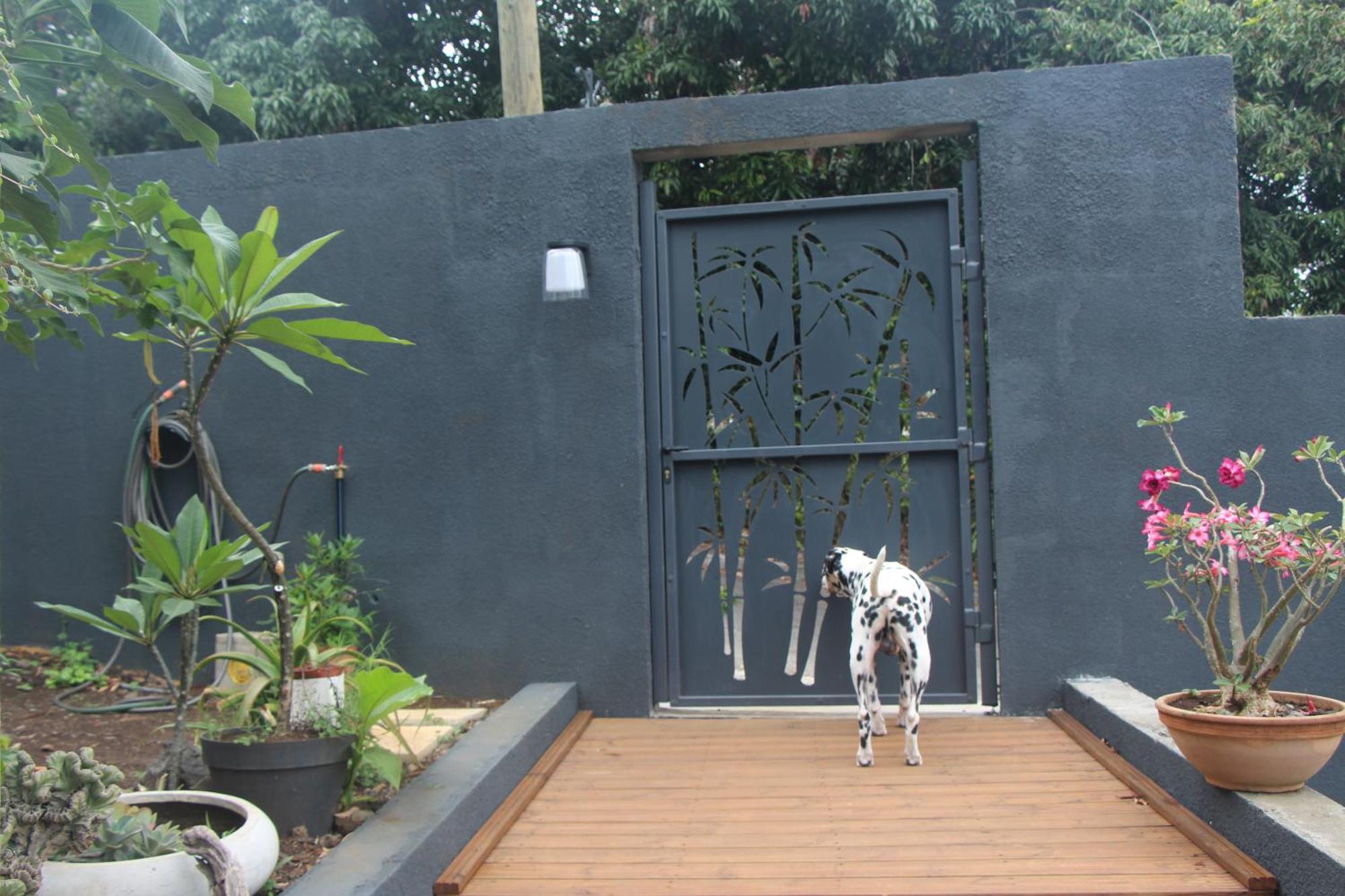 La Liane De Jade 974-Lodge Le Palissandre - Jacuzzi Privatif - Piscine Chauffee Le Bois de Nefles  Ngoại thất bức ảnh