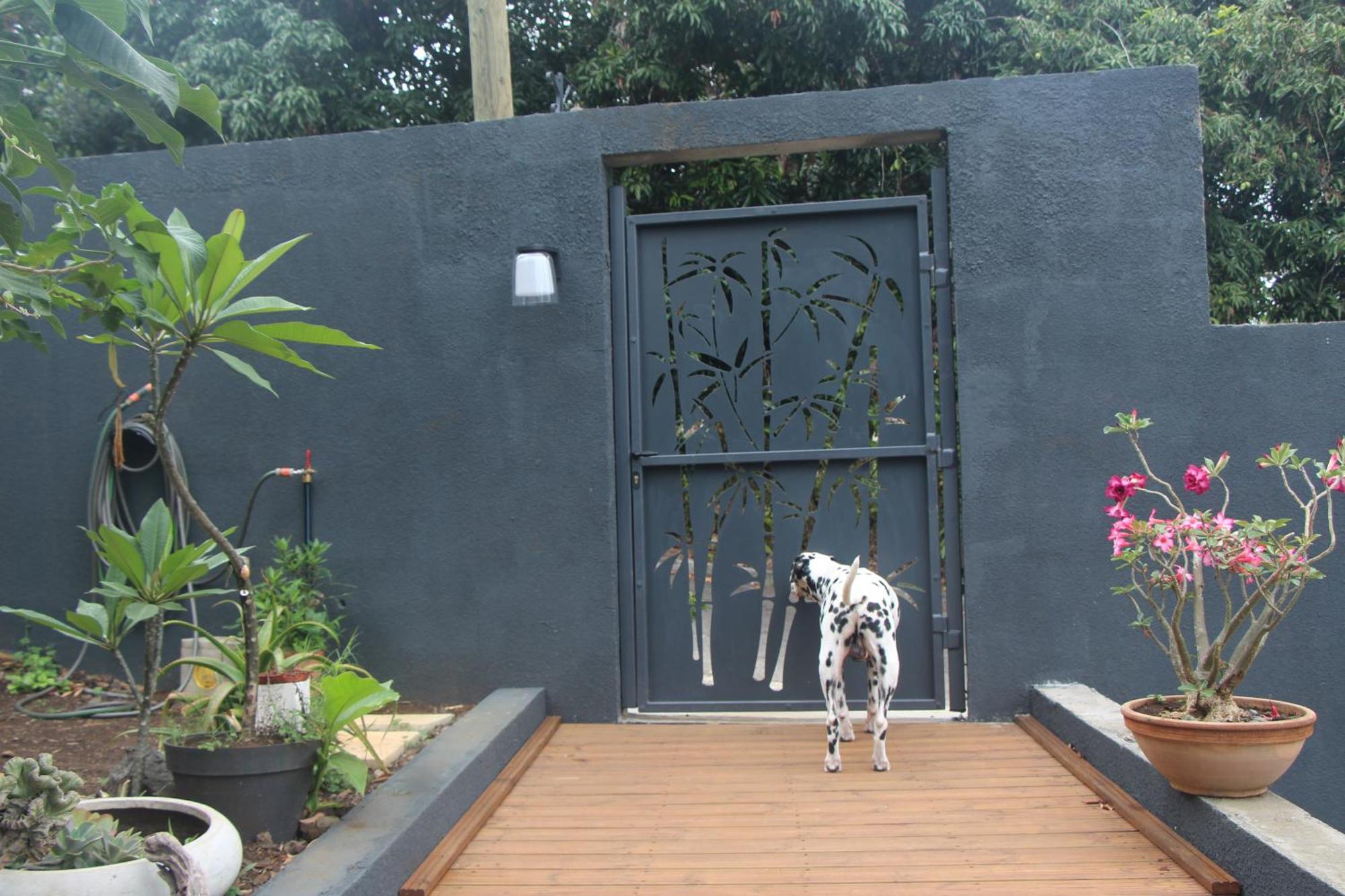 La Liane De Jade 974-Lodge Le Palissandre - Jacuzzi Privatif - Piscine Chauffee Le Bois de Nefles  Ngoại thất bức ảnh